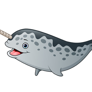 Fundraising Page: Team Narwhals